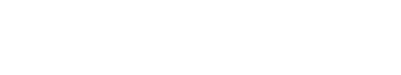 Synergize Support